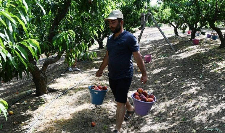 Lapseki'nin tescilli lezzeti Avrupa'ya ihraç ediliyor