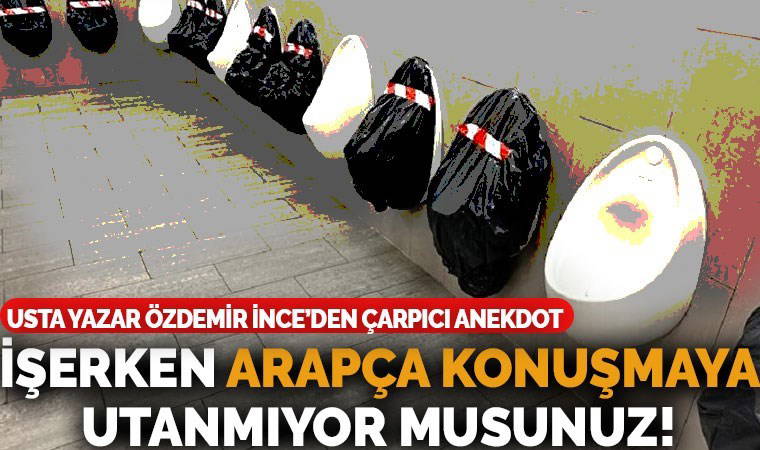 Yabancı istilası ve entegrasyon