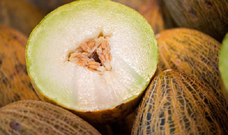 Her lokması şifa deposu