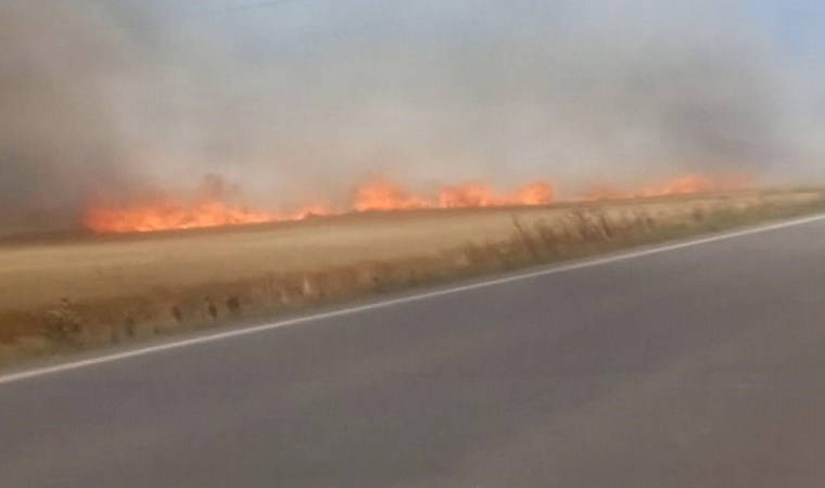 Tekirdağ’da 180 dönüm buğday cayır cayır yandı: 3 yaralı