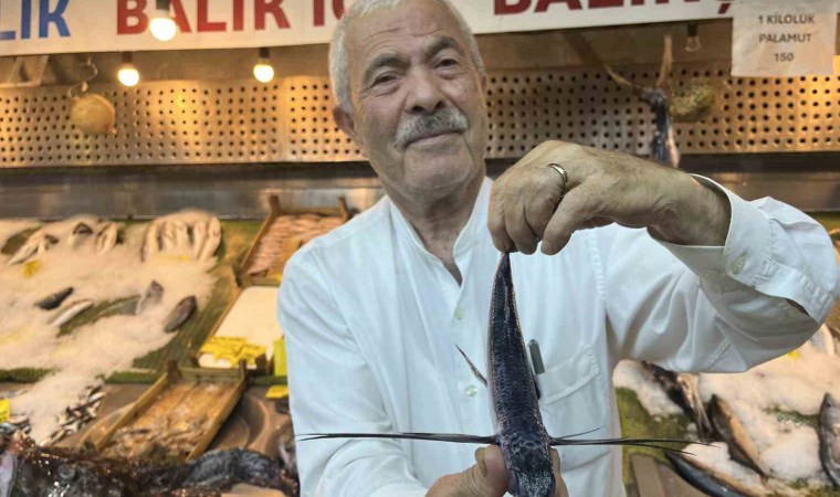 Marmara Denizi açıklarında uçan balık yakalandı