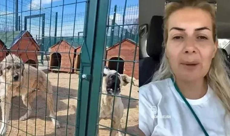 'Köpekvelisi' hesabının sahibi Buket Özgünlü tahliye edildi