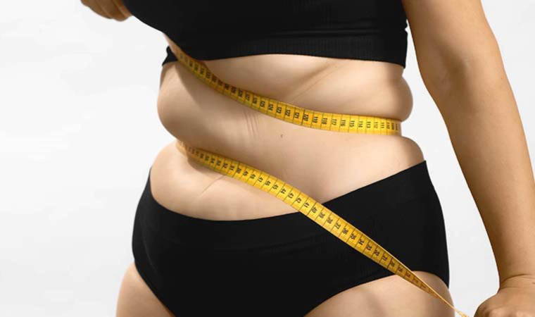 Obeziteye neden olan genleri çözmek için 7 milyon dolarlık bütçe desteği