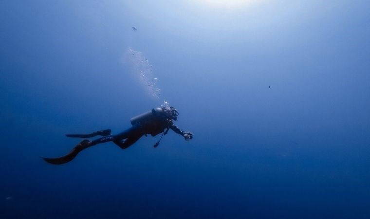 Meksika Körfezi'ndeki kayıp dünyanın peşindeler