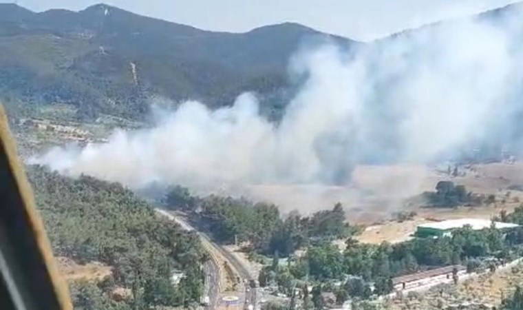 İzmir'de orman yangını! (25 Haziran 2024)