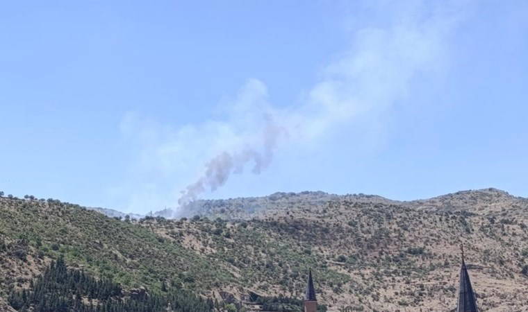 Afyonkarahisar'da ormanlık alanda yangın!