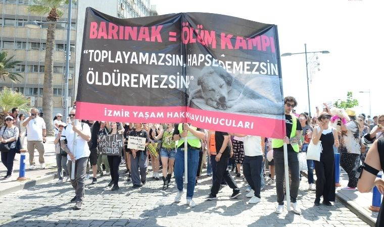 İzmir'de 'uyutma' teklifine karşı kafesli protesto