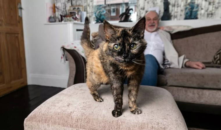 Kedisinin uzun ömrünün sırrını açıkladı: 'Dünyanın en yaşlı kedisi'