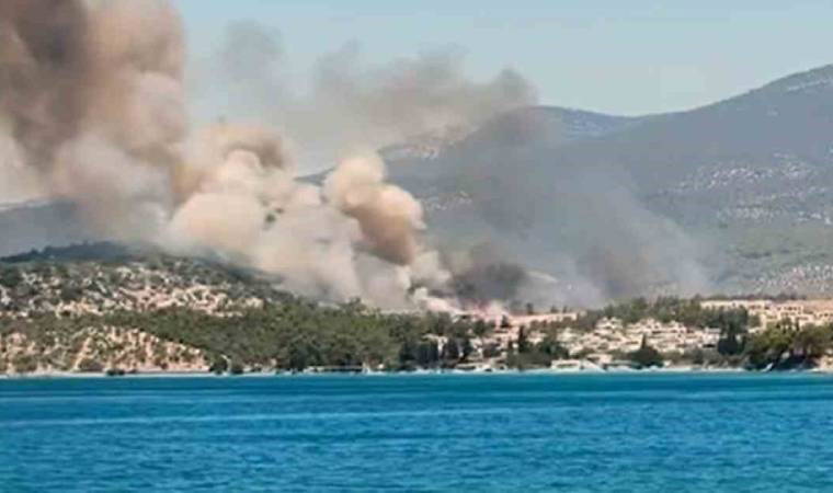 Muğla'da orman yangını (30 Haziran 2024)