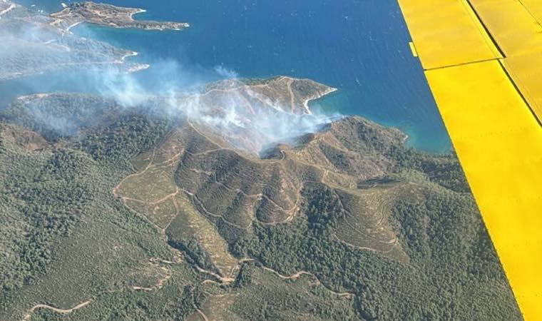 Marmaris'te orman yangını