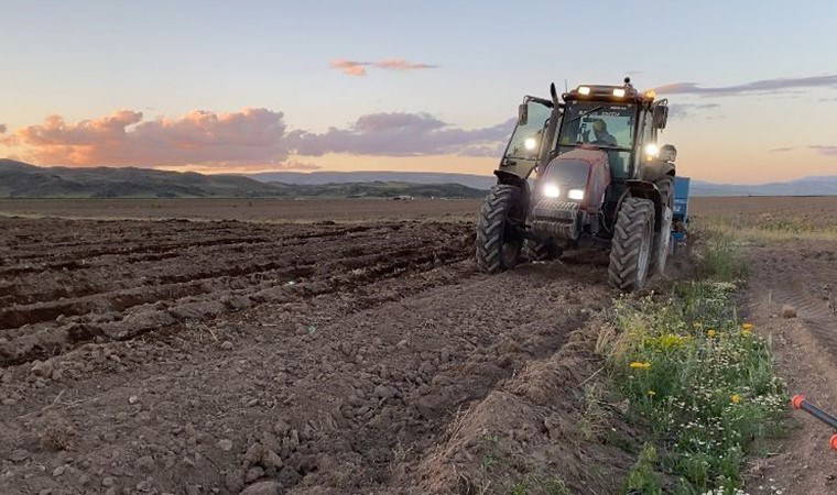 Adilcevaz’da ekim başladı: 90 günün sonunda hasat edilecek