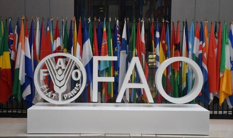 BM: “Temmuz ortasına kadar 1 milyondan fazla Filistinli ölüm ve açlıkla karşı karşıya kalabilir”