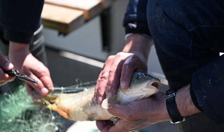 Bursa'da yasak döneminde balık avlayan 2 kişiye para cezası