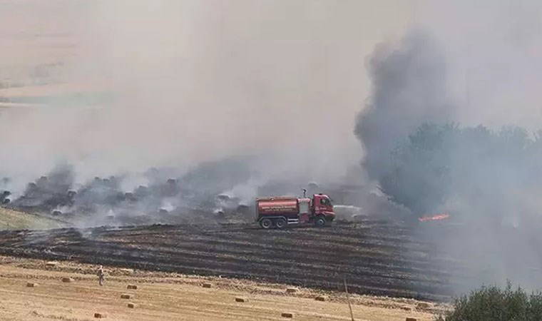 Manisa'da yangın: 100 dönüm tarım arazisi zarar gördü