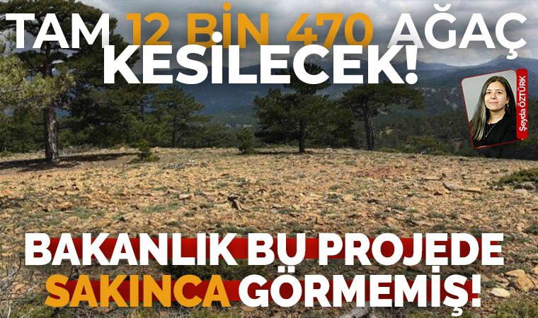 Muğla’nın Ula ve Köyceğiz ilçelerini içine alan proje kapsamında 12 bin 470 ağaç kesilecek