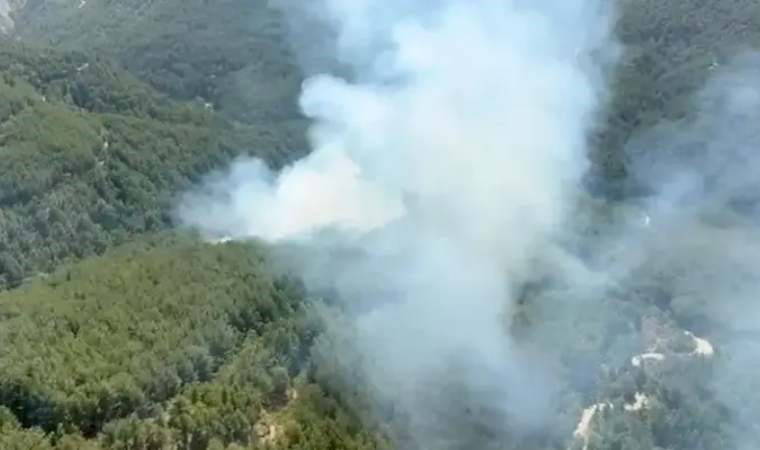 Antalya'da orman yangını kontrol altına alındı