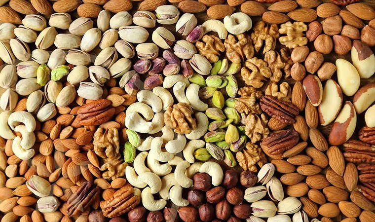 'Salmonella' tespit edildi