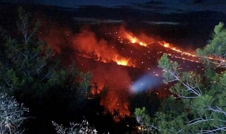 Adana’da anız yangını ormana sıçradı! 2 saat sonra kontrol altına alındı