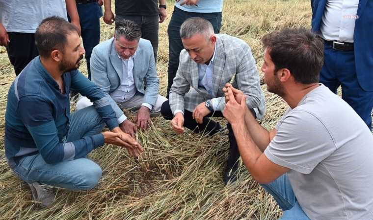 Çiftçilerden zarar gören tarım alanları için 'afet bölgesi' talebi