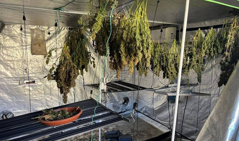 Yangın, uyuşturucu serasını ortaya çıkardı