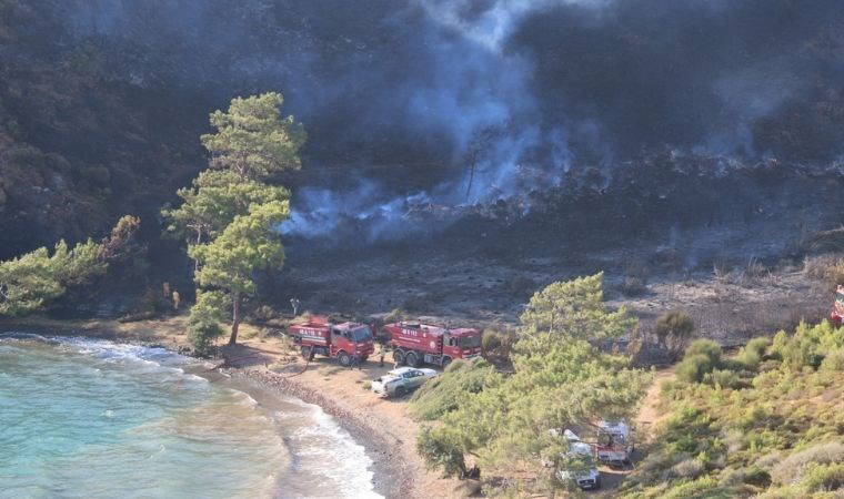 Başkan Ünlü: Ormanlara gözümüz gibi bakmalıyız