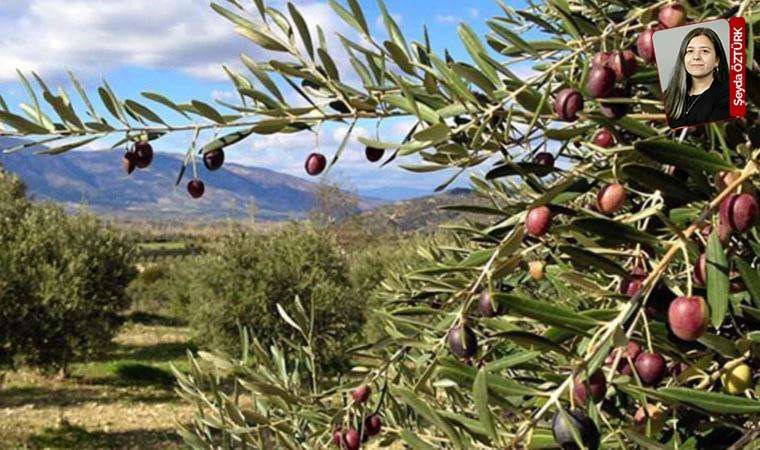 'Maden talanı son bulsun'