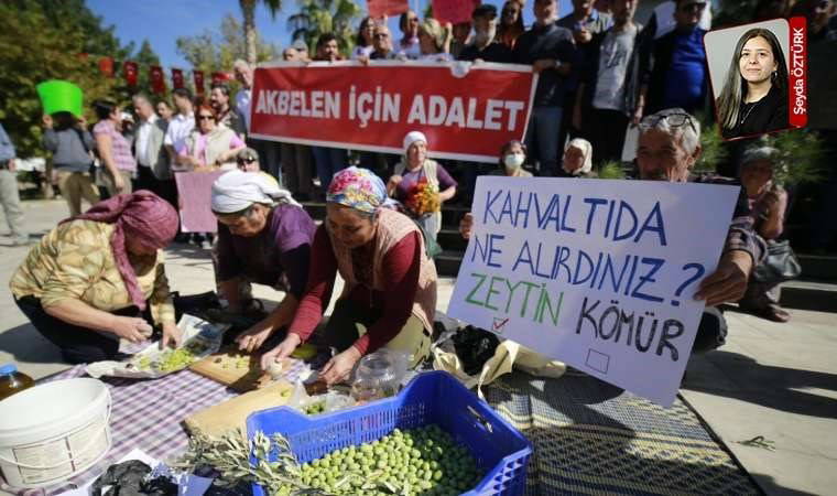 Zeytinlik sahalarını madencilik faaliyetine açan tartışmalı yönetmelik iptal edildi