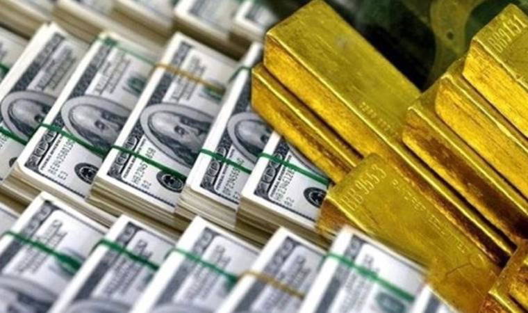 Merkez Bankası'nın brüt rezervleri rekor kırdı (11 Temmuz 2024)