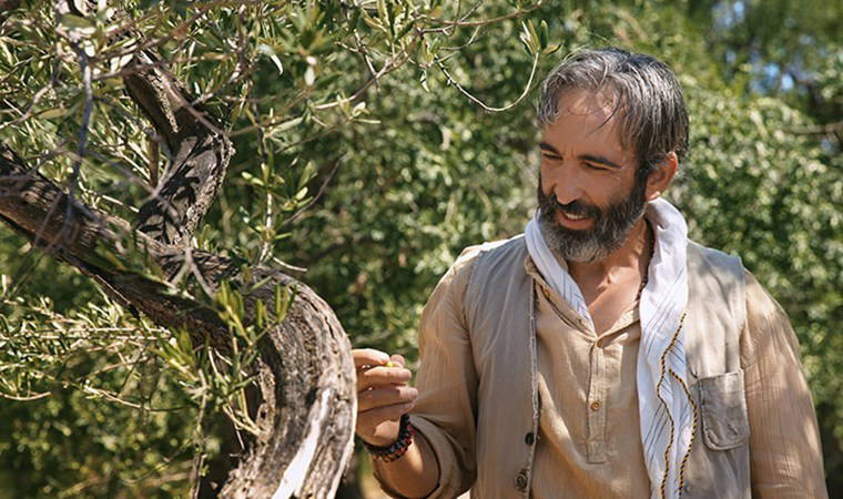 Murat Boz da gitmemişti: Fırat Tanış, 'Zeytin Ağacı' galasına neden katılmadı?