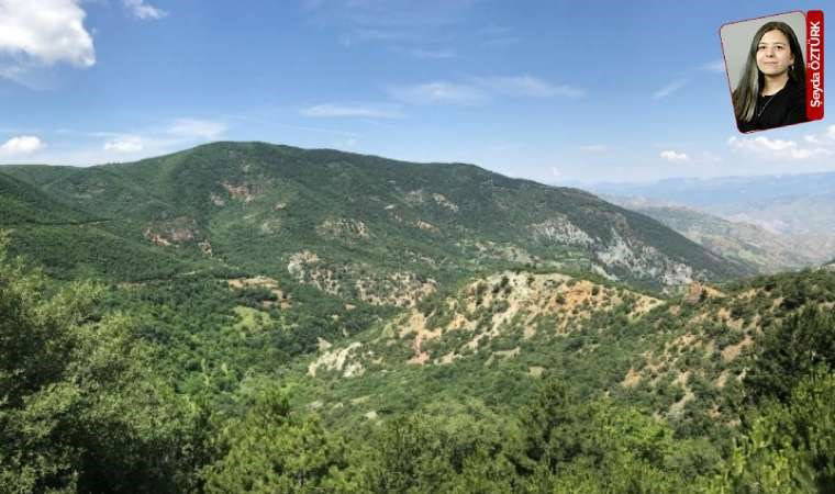 'Vahşi madencilik' hız kesmiyor