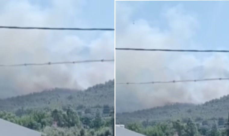 Hatay’da yerleşim yerlerine yakın mesafede orman yangını!