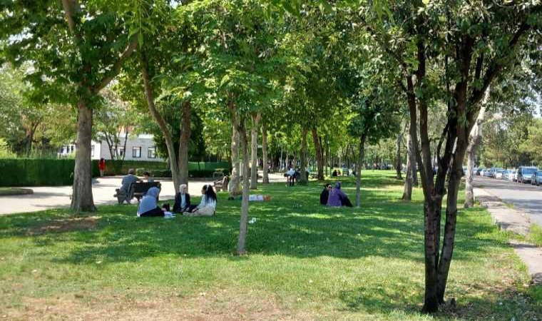 Parkta dinlenirken dehşet...