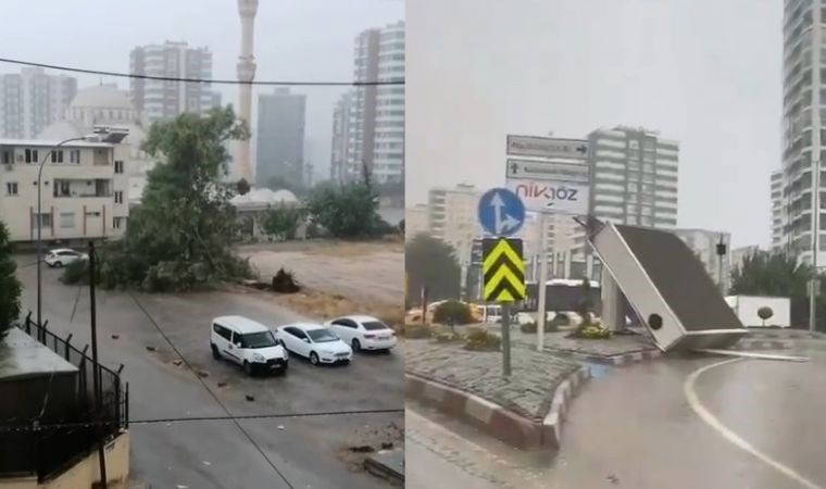 Fırtına ve sağanak Adana'yı vurdu: Ağaçlar devrildi; Çatılar, reklam panoları uçtu...