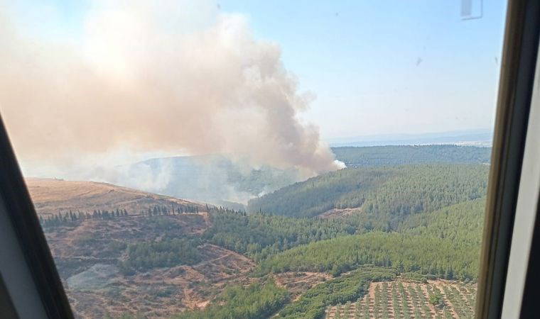 İzmir'de bir orman yangını daha