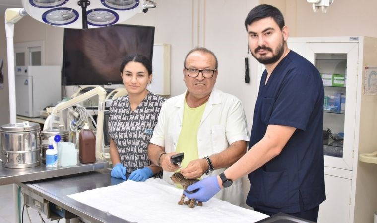 Onur Yiğit: Öldürme yasasına karşıyız