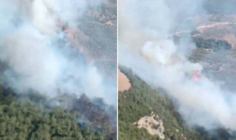 Hatay'da orman yangını!