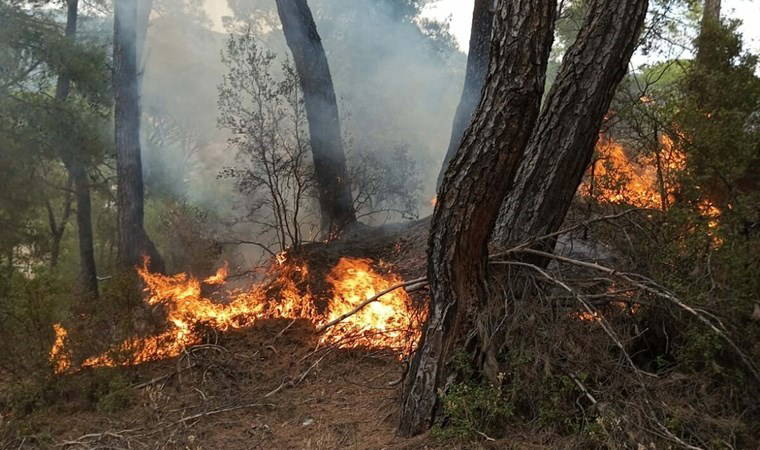 Muğla'da yıldırım düşmesiyle 11 noktada orman yangını çıktı