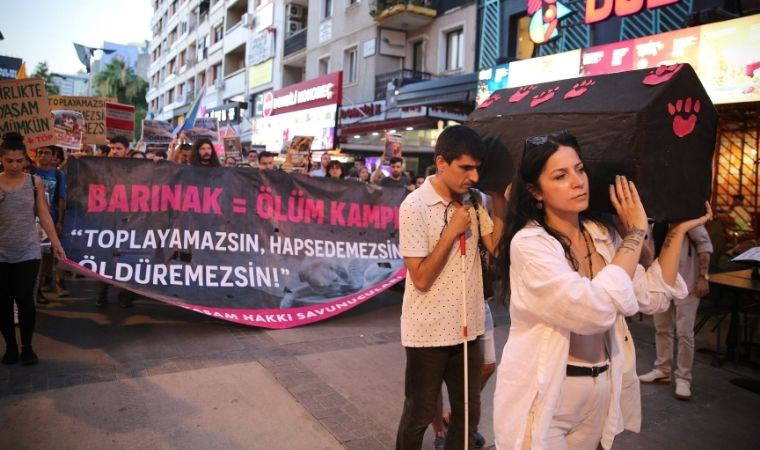 Hayvan hakları savunucularından tabutlu eylem