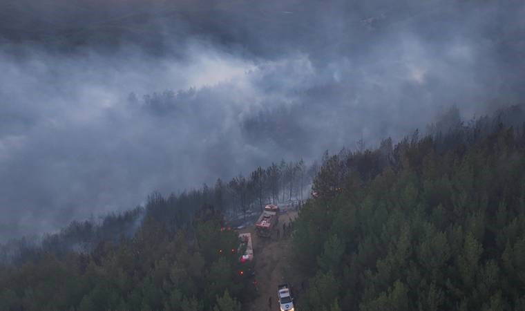 Orman yangınına müdahale eden ekibin aracı devrildi: 2 yaralı