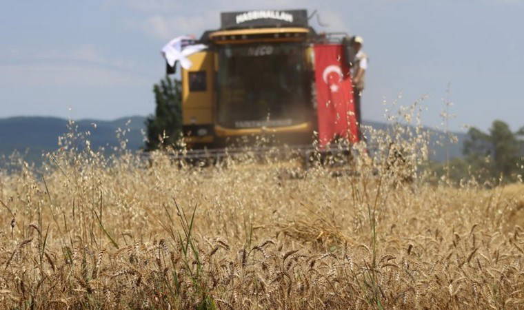 Aralık ayında zor şartlarda ekilmişti! 