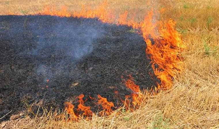 Şanlıurfa’da anız yakan 206 kişiye 14 milyon TL ceza