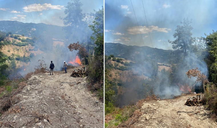 Osmaniye'de orman yangını!