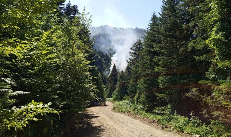 Samsun'da orman yangını!