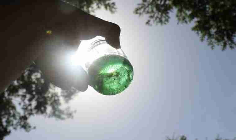 Kovanından yeşil bal çıkan arıcı şaşkına uğradı! Kilosu 20 bin TL'ye satılıyor...