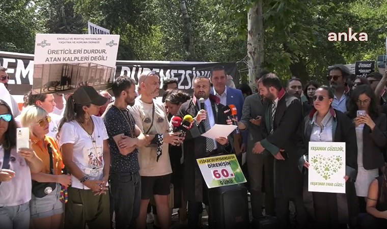 Barolar ve hayvanseverlerden 'ötanazi' protestosu: 'Zalim bir tercihin sonucu'