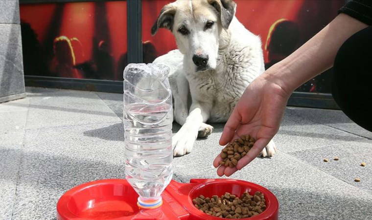 AKP ve MHP'li üyelerin oylarıyla geçti