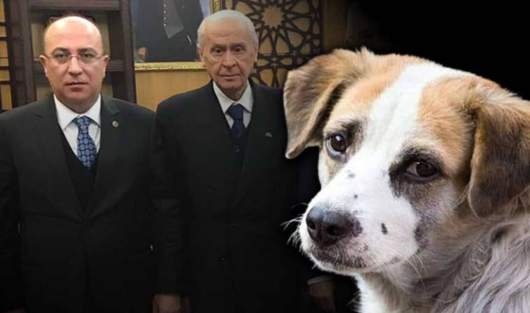 MHP'de manidar 'Katliam Yasası' hamlesi: Ulvi Yönter, Bahçeli'nin eski tweetini paylaştı