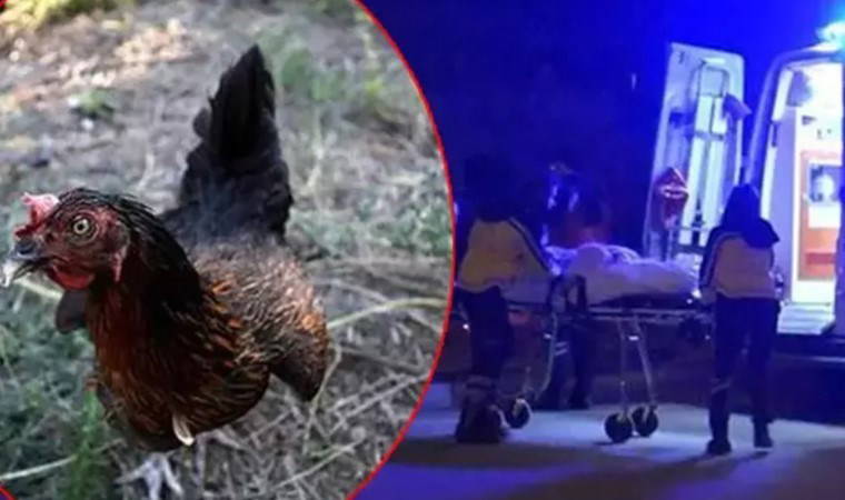 ‘Bahçeye tavuk girdi’ kavgasında kurşun yağdırdı: 2 ölü, 1 yaralı