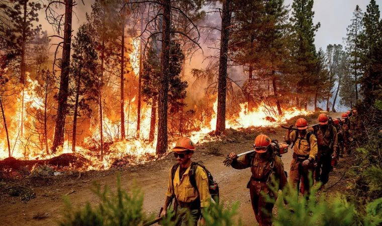 4 bin kişi evlerinden tahliye edildi: California'nın en büyük orman yangını yayılmaya devam ediyor