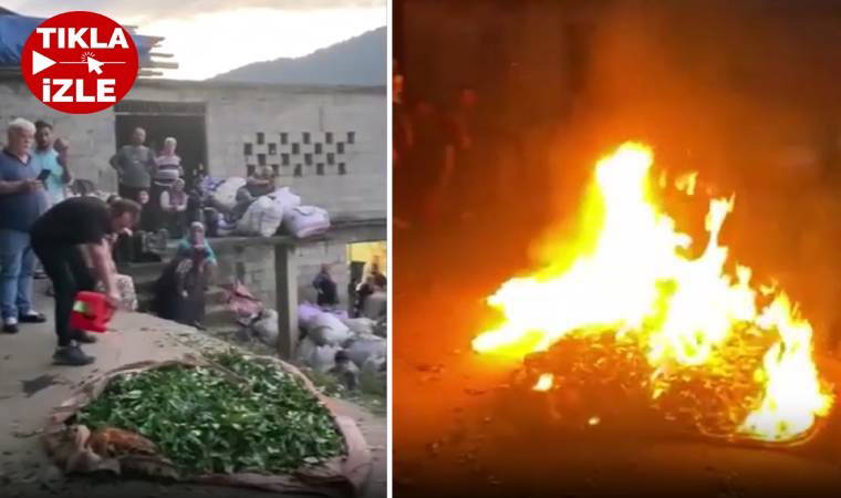 Rizeli üretici çayını yakarak Çaykur'u protesto etti
